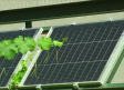 La UCLM investiga la integración de placas solares en los viñedos