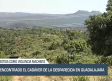 La mañana En Titulares - 26/6/2025