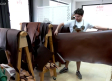 Rey Pavón, segunda generación dedicada al diseño de productos de piel