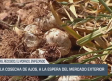 El campo - 02/07/2025