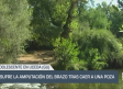 Castilla-La Mancha a las 2 - 03/07/2025