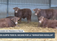 El campo - 04/07/2025