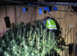 Desmantelado un cultivo de marihuana localizado tras un incendio en la casa en la que estaba