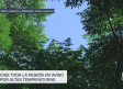 Previsión del tiempo - 15/07/2025