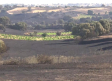 El incendio causa importantes daños en los cultivos de la zona