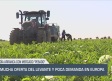 El campo - 18/07/2025