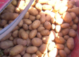 Arranca la temporada de recogida de patatas