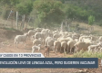 El campo - 22/07/2025