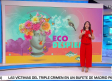 El impacto de los chicles en la salud y en el planeta