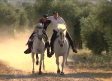 Días de entrenamiento para ver los caballos enjaezados del Carpio de Tajo