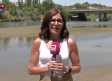 ¿Cómo está el río Tajo hoy?