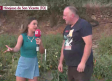 Recogida de verduras y hortalizas en Hinojosa de San Vicente
