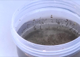 Instalan en seis municipios de Guadalajara trampas contra mosquitos y garrapatas