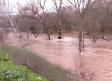 El río Henares, más limpio tras semanas de trabajo