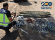 Cae un clan familiar por el robo de cableado de cobre de la línea férrea de Alcázar de San Juan