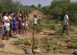 Un huerto con forma de campo de fútbol en Garcinarro, Cuenca