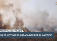 Noticias del día en Castilla-La Mancha: 12 de agosto