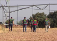 Desarticulado un grupo que se dedicaba al robo de motores de riego en explotaciones agrarias