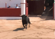 Comienzan las fiestas en Fontanar en honor a San Roque