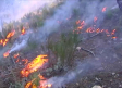 La Fiscalía pide que se investigue el plan de prevención de los municipios afectados por incendios