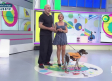 Primeros auxilios para nuestras mascotas