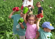 Los niños de Villanueva de los Infantes participan en la Feria del Pimiento