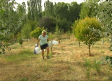 El bosque urbano de Aguas Vivas enfrenta a vecinos y Ayuntamiento de Guadalajara