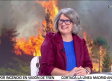 Entrevista Mercedes Gómez