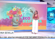 El problema de la proliferación de las cucarachas