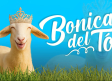 CMM presenta “Bonica del tó”, el nuevo concurso que busca a la oveja más bonita de la región