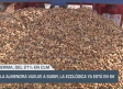 La almendra vuelve a subir, la ecológica ya está en 6 € - 08/09/2025
