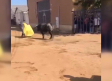 Grave cogida durante los encierros de este martes en Mocejón (Toledo)