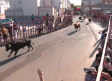 Encierros taurinos en Mocejón