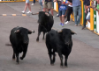 Broche de oro con el octavo encierro de Villaseca de la Sagra