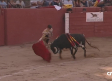 Novillada desde Sonseca (13/09/2025)