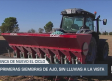 Primeras siembras de ajo, sin lluvias a la vista - 16/09/2025