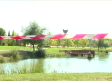 Clausurado el acceso al lago del parque de Valdeluz, en Yebes, por un posible brote de gripe aviar