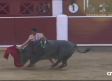 Toros desde Albacete (17/09/2025)