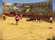 Un hombre herido tras ser corneado por un toro en los encierros de Almodóvar del Campo (Ciudad Real)
