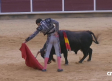 Novillada sin picadores desde Brihuega (29/09/2025)