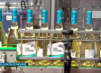 La cooperativa "El Progreso", primera en embotellar sus vinos jóvenes