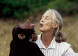 Muere Jane Goodall, la amiga de los chimpancés