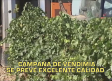 Castilla-La Mancha fin de semana a las 2 04/10/2025