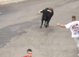 Encierro en las fiestas de Olías del Rey