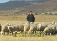 Castilla-La Mancha a las 8 - 06/10/2025