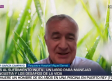 Entrevista a Javier García Campayo - 7/10/2025