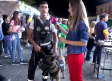 Perros entrenados para resolver altercados y peleas