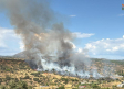 Incendio forestal en Almorox