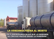 La vendimia frena al mosto - 14/10/2025
