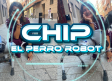CHIP, el perro robot que pasea por Albacete